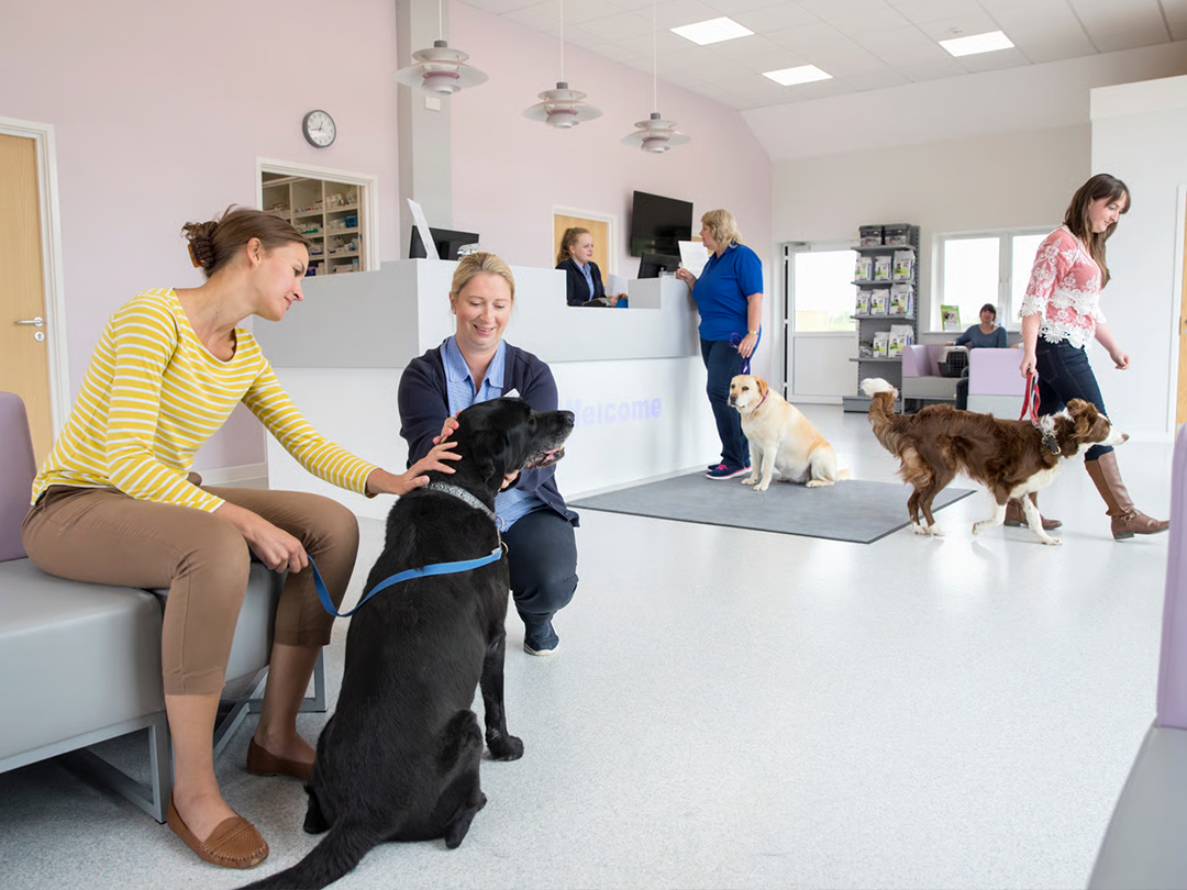 Veterinary Clinics